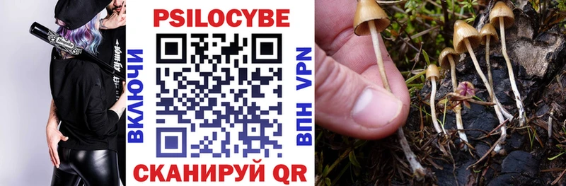 Псилоцибиновые грибы Magic Shrooms  Большой Камень 
